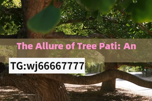 The Allure of Tree Pati: An 